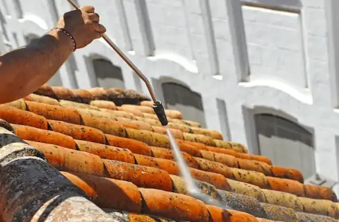 Nettoyage de toitures - Saint-Maurice-l'Exil